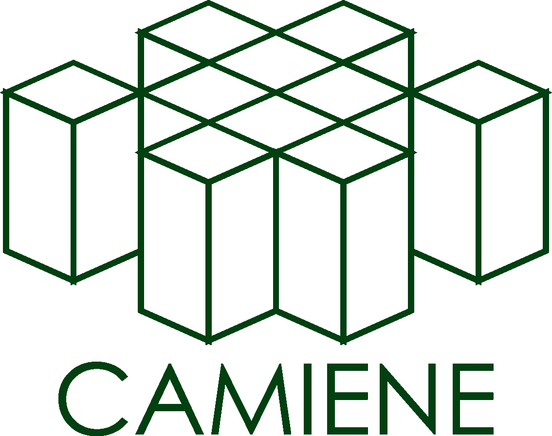 Logo CAMIENE